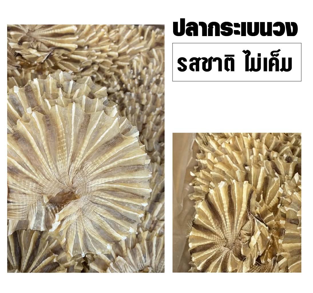 ปลากระเบนวง