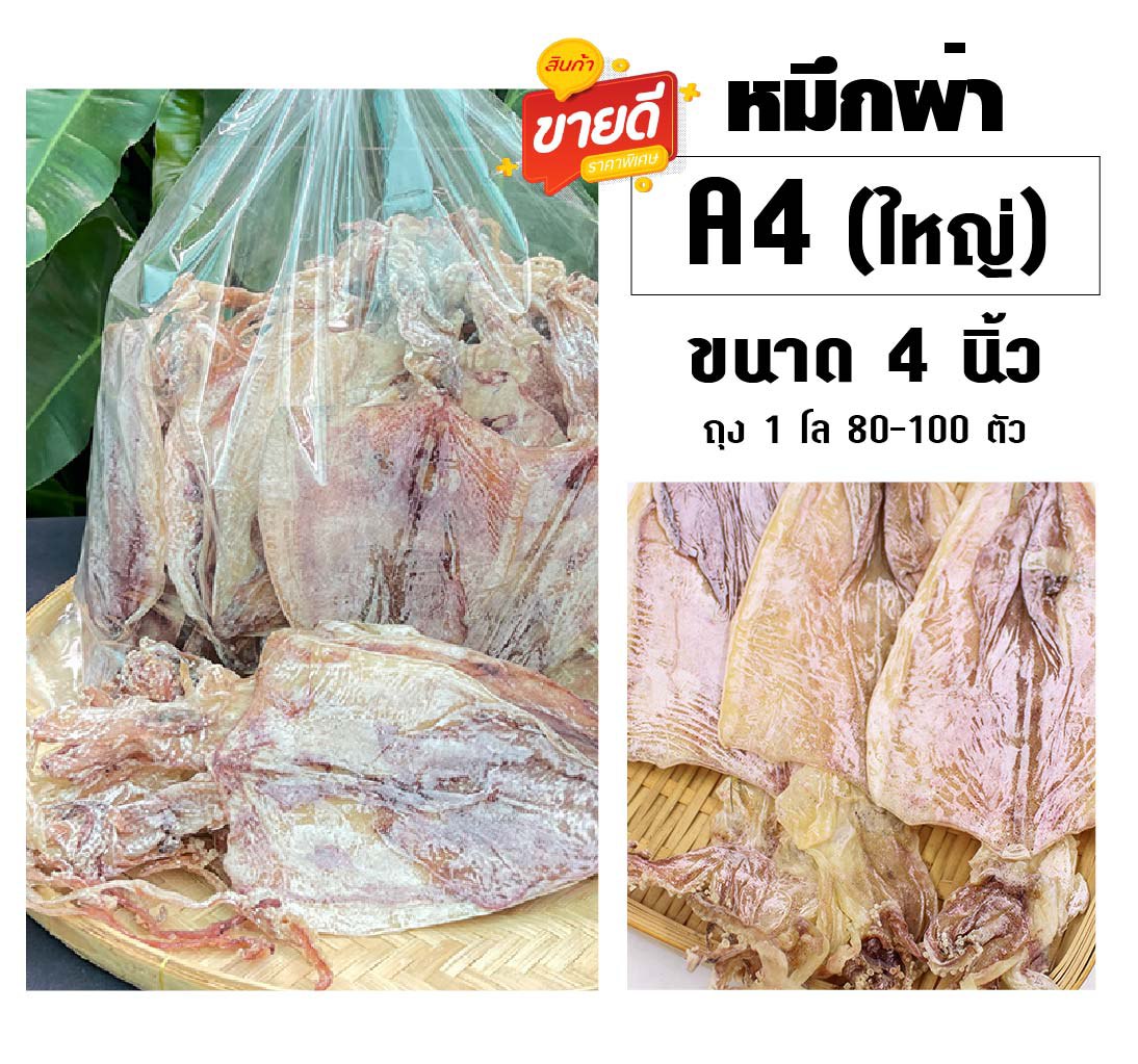 หมึกผ่า A4 (กลาง)