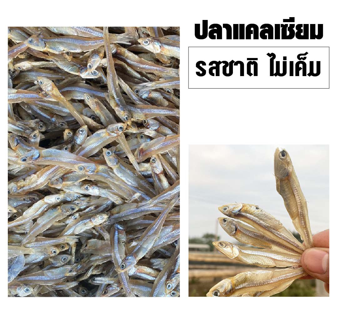 ปลาแคลเซียม