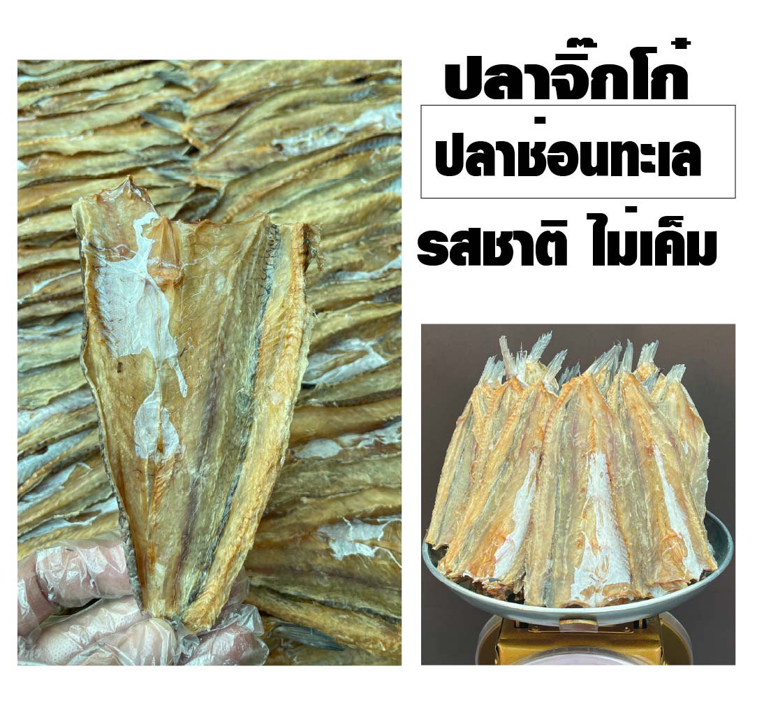 ปลาจิ๊กโก๋