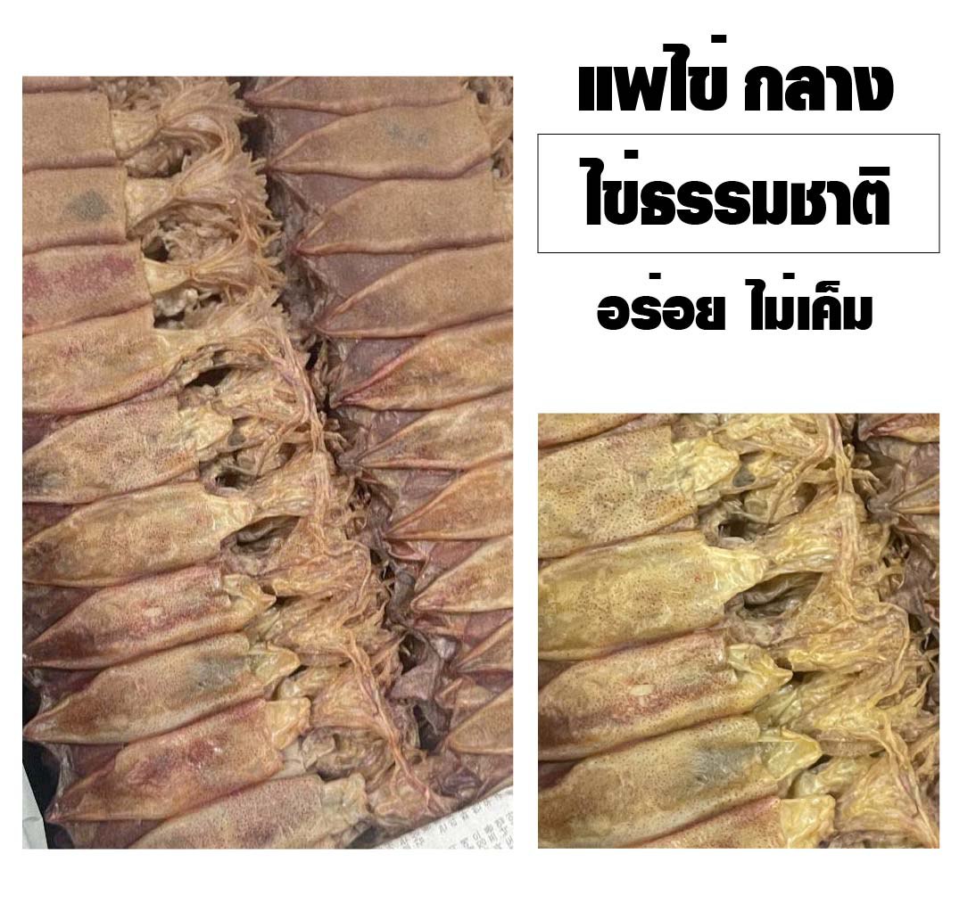 แพไข่กลาง