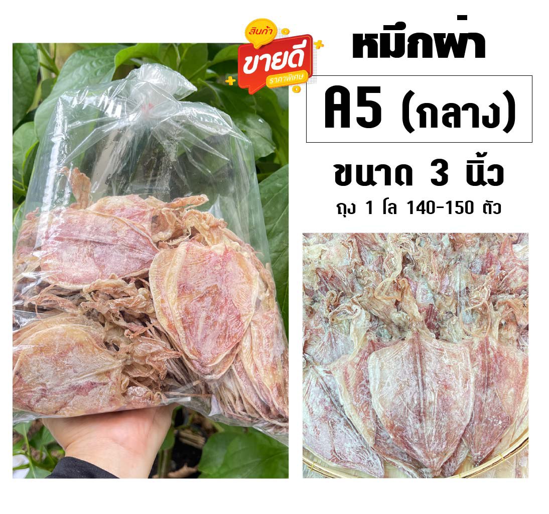 หมึกผ่า A5 (กลาง)